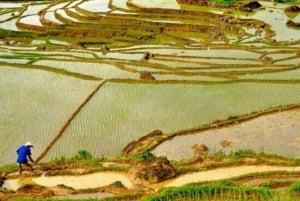 Pu Luong 2 dias e 1 noite - Tour de 1 dia de trekking diferente