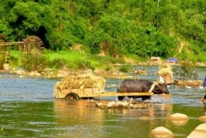 Pu Luong 2 dias e 1 noite - Tour de 1 dia de trekking diferente