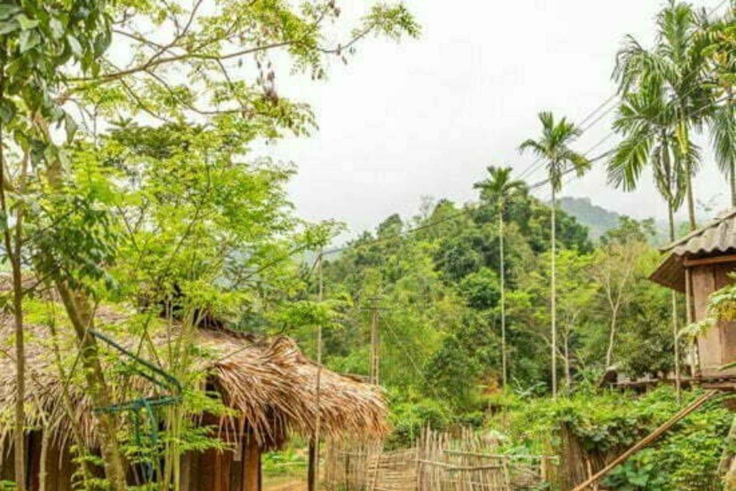 Reserva natural de Pu Luong 3 dias e 2 noites de caminhada off-road