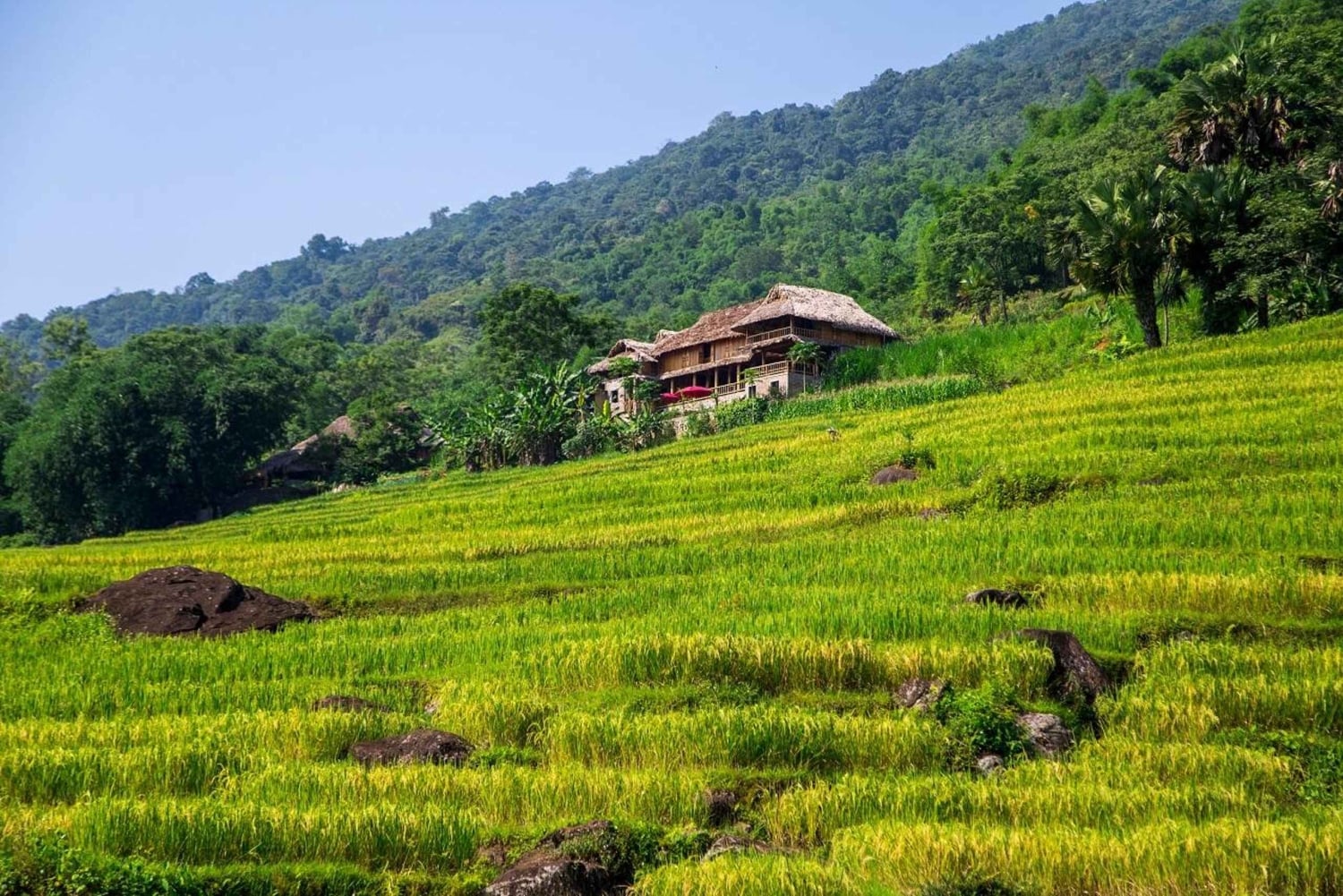 Pu Luong: Dorfspaziergänge, Bambus-Rafting & Reisterrassen