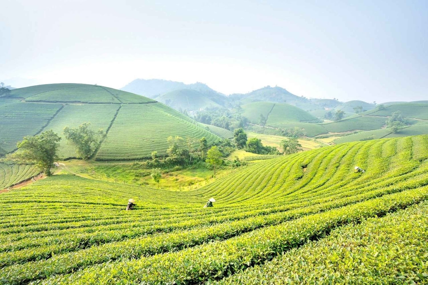 Pu Luong: Dorfspaziergänge, Bambus-Rafting & Reisterrassen