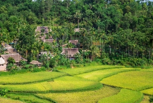 Pu Luong: Dorfspaziergänge, Bambus-Rafting & Reisterrassen