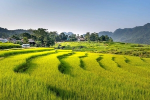 Pu Luong: Dorfspaziergänge, Bambus-Rafting & Reisterrassen