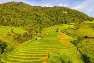 Pu Luong: Dorfspaziergänge, Bambus-Rafting & Reisterrassen