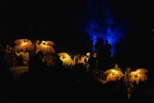 Tour dello spettacolo Quintessence Of Tonkin dal quartiere storico di Hanoi