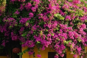 Hanoi: Rose Kitchen madlavning, marked og flagceremoni