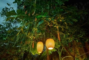 Hanoi: Rose Kitchen madlavning, marked og flagceremoni