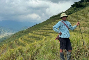 Sapa: 2D/1N Trek Rice Terraces & Homestay with Linh