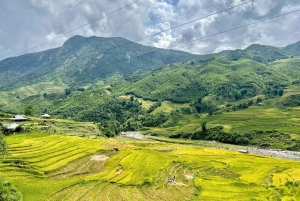 Sapa: 2D/1N Trek Rice Terraces & Homestay with Linh