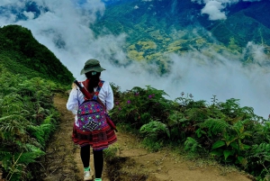 Sapa: 2D/1N Trek Rice Terraces & Homestay with Linh