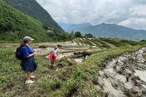 Sapa: 2D/1N Trek Rice Terraces & Homestay with Linh