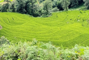 Sapa: 2D/1N Trek Rice Terraces & Homestay with Linh