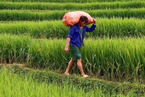 Sapa: 2D/1N Trek Rice Terraces & Homestay with Linh