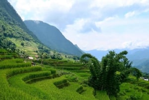 Sapa: 2D/1N Trek Rice Terraces & Homestay with Linh