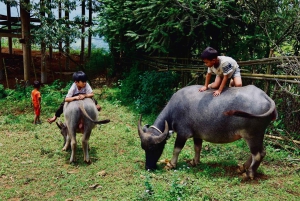 Sapa: 2D/1N Trek Rice Terraces & Homestay with Linh