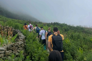 Sapa: 2D/1N Trek Rice Terraces & Homestay with Linh