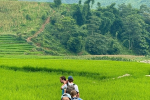 Sapa: 2D/1N Trek Rice Terraces & Homestay with Linh