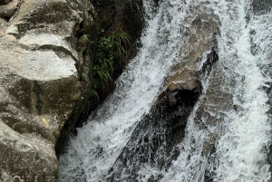 Sapa: 2D/1N Trek Rice Terraces & Homestay with Linh