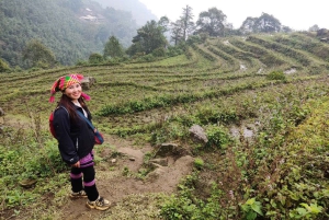 Sapa: 2D/1N Trek Rice Terraces & Homestay with Linh
