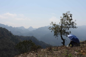 Sapa: 2D/1N Trek Rice Terraces & Homestay with Linh