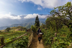 Sapa: 2D/1N Trek Rice Terraces & Homestay with Linh