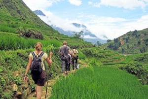 Sapa: 2D/1N Trek Rice Terraces & Homestay with Linh