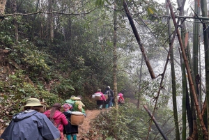 Sapa: 2D/1N Trek Rice Terraces & Homestay with Linh