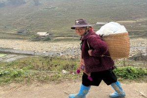 Sapa: 2D/1N Trek Rice Terraces & Homestay with Linh