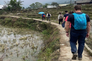 Sapa: 2D/1N Trek Rice Terraces & Homestay with Linh