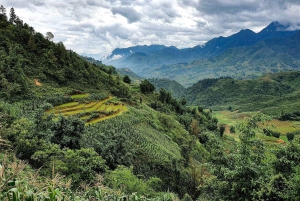 Sapa: 2D/1N Trek Rice Terraces & Homestay with Linh
