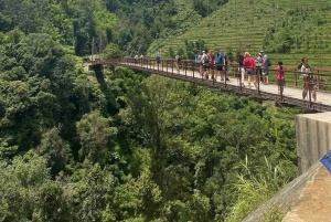 Sapa: 2D/1N Trek Rice Terraces & Homestay with Linh