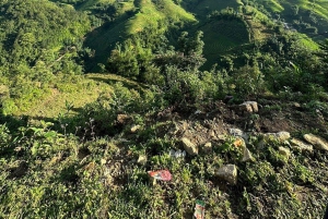 Sapa: 2D/1N Trek Rice Terraces & Homestay with Linh