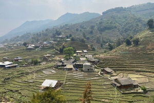 Sapa: 2D/1N Trek Rice Terraces & Homestay with Linh