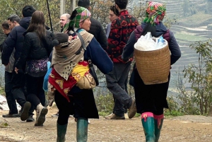 Sapa: 2D/1N Trek Rice Terraces & Homestay with Linh
