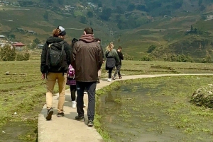 Sapa: 2D/1N Trek Rice Terraces & Homestay with Linh
