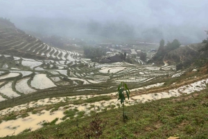Sapa: 2D/1N Trek Rice Terraces & Homestay with Linh