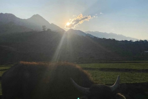 Sapa: 2D/1N Trek Rice Terraces & Homestay with Linh