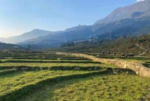 Sapa: 2D/1N Trek Rice Terraces & Homestay with Linh