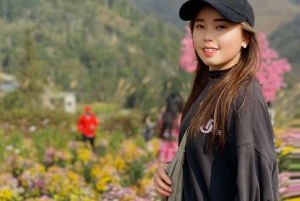 Sapa: 2D/1N Trek Rice Terraces & Homestay with Linh