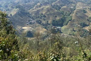 Sapa: 2D/1N Trek Rice Terraces & Homestay with Linh