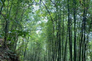 Sapa: 2D/1N Trek Rice Terraces & Homestay with Linh