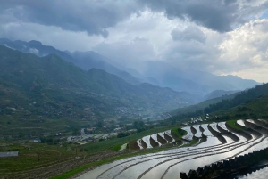 Sapa: 2D/1N Trek Rice Terraces & Homestay with Linh