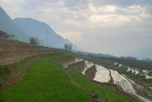 Sapa: 2D/1N Trek Rice Terraces & Homestay with Linh