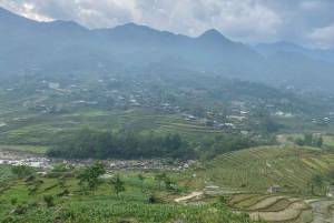 Sapa: 2D/1N Trek Rice Terraces & Homestay with Linh