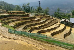 Sapa: 2D/1N Trek Rice Terraces & Homestay with Linh