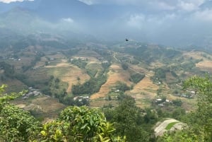 Sapa: 2D/1N Trek Rice Terraces & Homestay with Linh