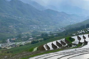 Sapa: 2D/1N Trek Rice Terraces & Homestay with Linh