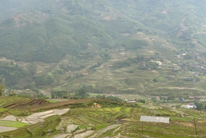 Sapa: 2D/1N Trek Rice Terraces & Homestay with Linh