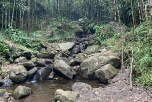 Sapa: 2D/1N Trek Rice Terraces & Homestay with Linh