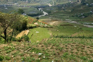 Sapa: 2D/1N Trek Rice Terraces & Homestay with Linh